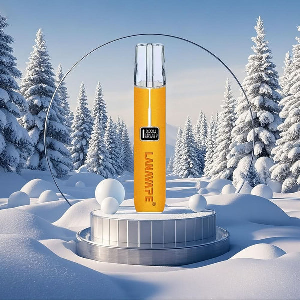 主機LANA 拉娜 皮革主機