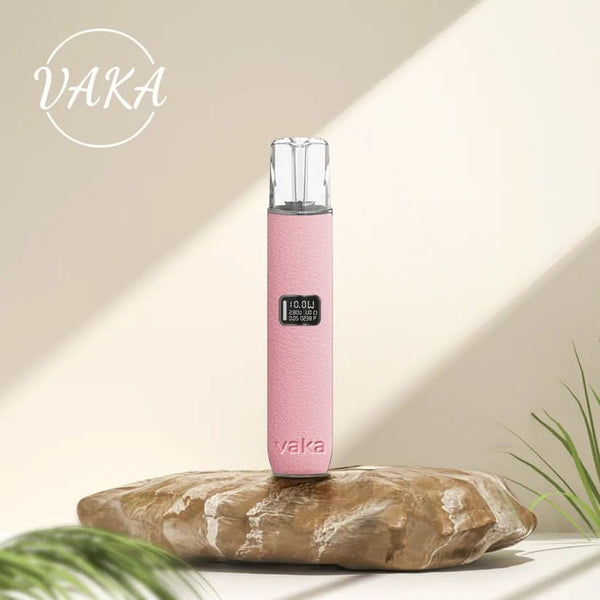 主機vaka皮革主機一代通用